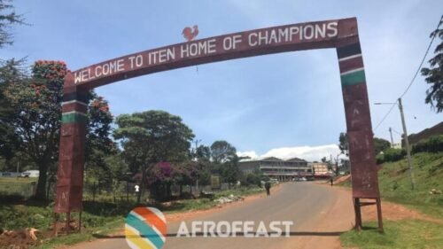 Kenya Festivals — Afrofeast archive photograph