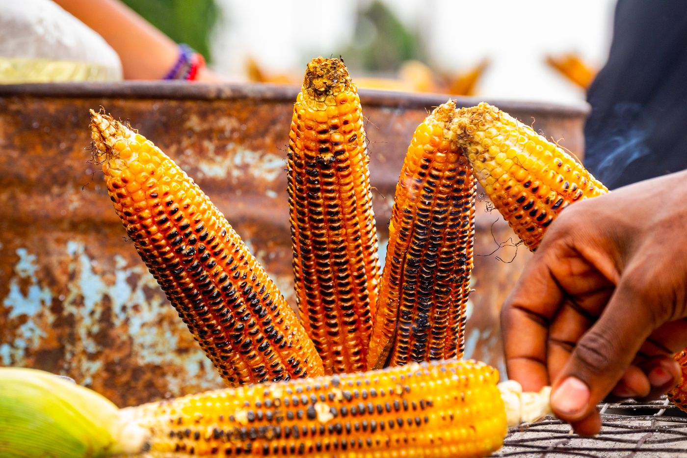 Fire-charred maize